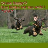 Das Hundehotel Casa Happy