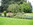 Gäste in der Hundepension Casa Happy