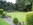 Gäste in der Hundepension Casa Happy