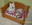 Gäste in der Hundepension Casa Happy